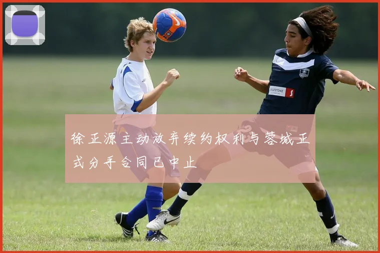 徐正源主动放弃续约权利与蓉城正式分手合同已中止