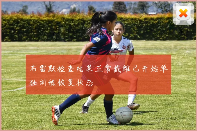 布雷默检查结果正常戴维已开始单独训练恢复状态