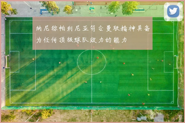 纳尼称帕利尼亚符合曼联精神具备为任何顶级球队效力的能力